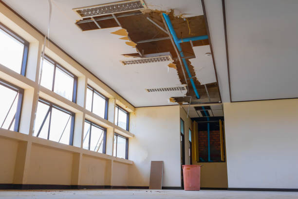 Best Ceiling water damage repair  in Oakwood, IL