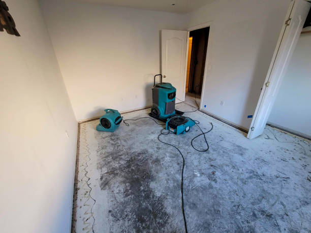Local water damage restoration in IL