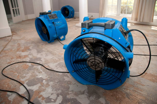 Best Water damage contractors near me  in Oakwood, IL
