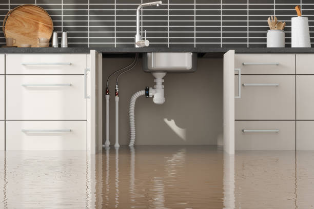 Best Flood restoration services  in Oakwood, IL