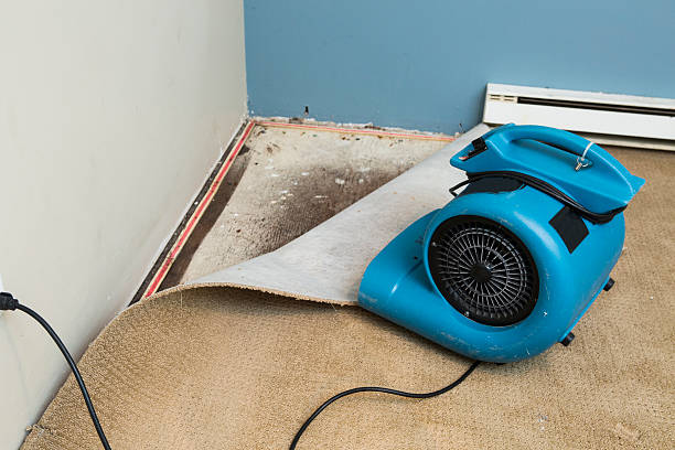 Best Sewage cleanup and water damage restoration  in Oakwood, IL